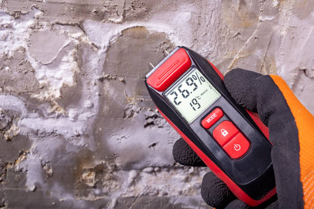 Best Residential Mold Removal  in Clyde, TX